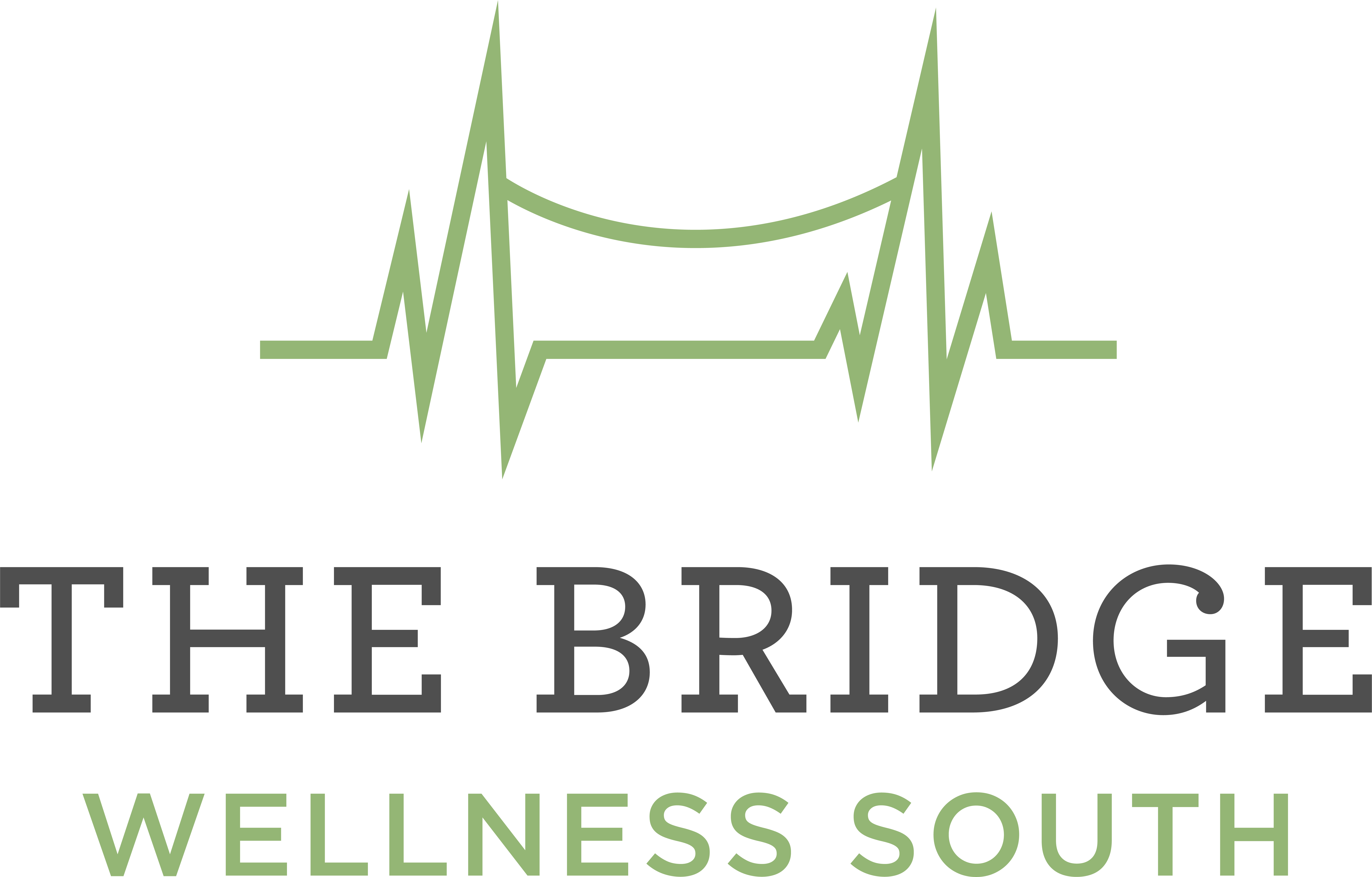 Support The Bridge Wellness South